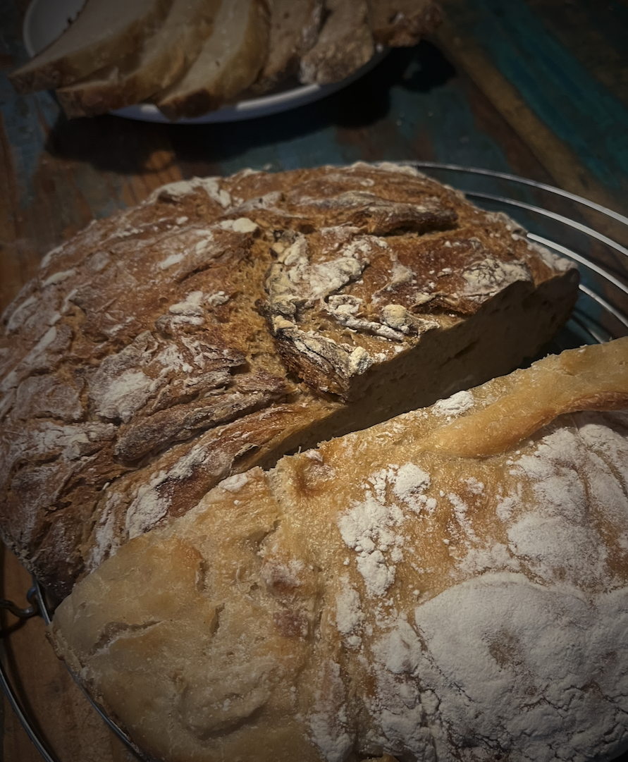 Sourdough Adventures