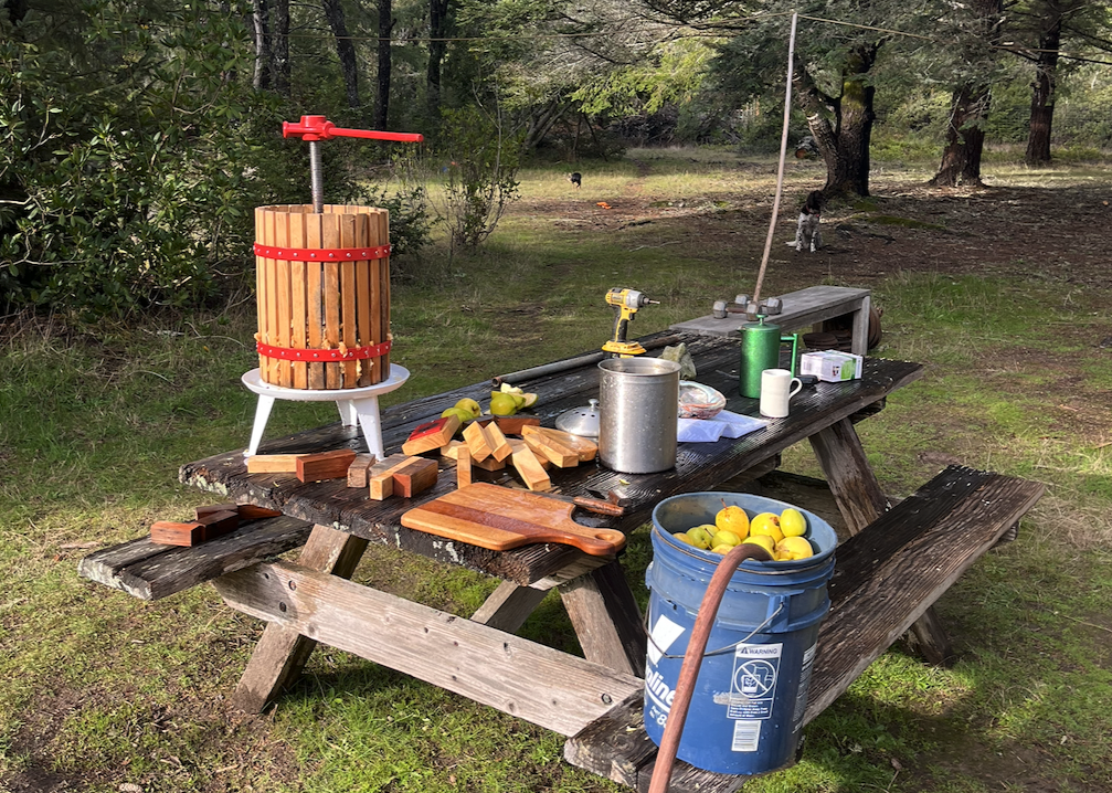 Introducing Rootstock